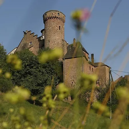 Mit Garten Im Naturpark Suedeifel By Interhome Feriehus Biersdorf