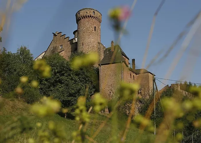 Mit Garten Im Naturpark Suedeifel By Interhome Vakantiehuis Biersdorf